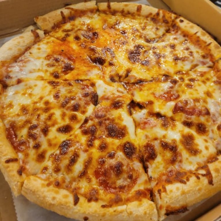Delicious Cheese Pizza and More